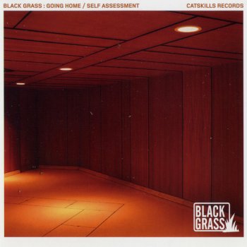 Black Grass Going Home - Radio Edit