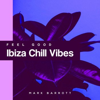 Mark Barrott Lounge Cafe Ibiza Club