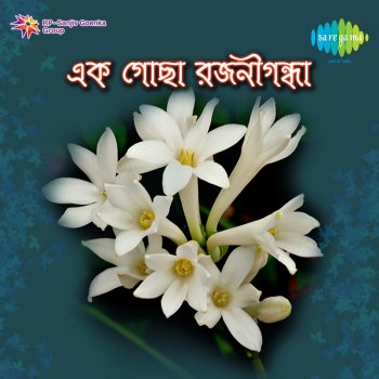 Sabita Chowdhury Halud Gandar (Original)