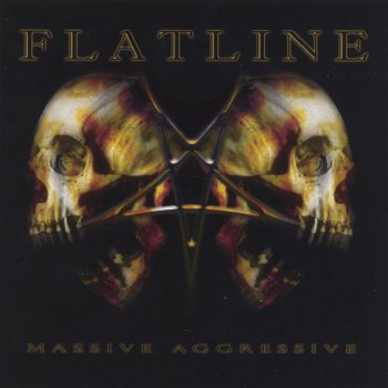 Flatline Rise (writen By Pantera) Tribute to Dimebag