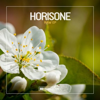 Horisone Raw (Severin Su Remix Edit)