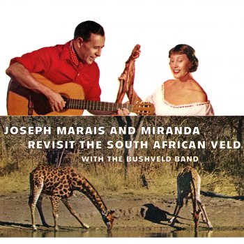 Marais & Miranda The Zulu Warrior
