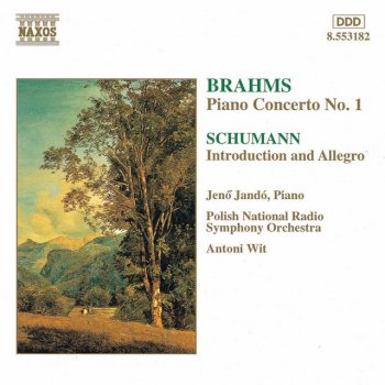 Johannes Brahms feat. Jenő Jandó, Polish National Radio Symphony Orchestra & Antoni Wit Piano Concerto No. 1 in D Minor, Op. 15: I. Maestoso