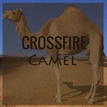 Crossfire Camel