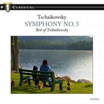 Pyotr Ilyich Tchaikovsky feat. SWR Symphony Orchestra & Woldemar Nelsson Symphony No. 5 in E Minor, Op. 64: III. Valse: Allegro moderato