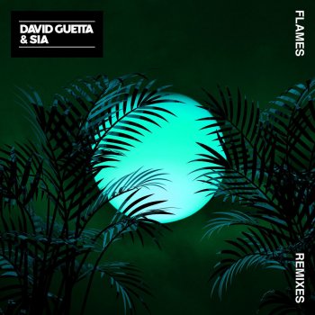 David Guetta feat. Sia & Robin Schulz Flames - Robin Schulz Remix