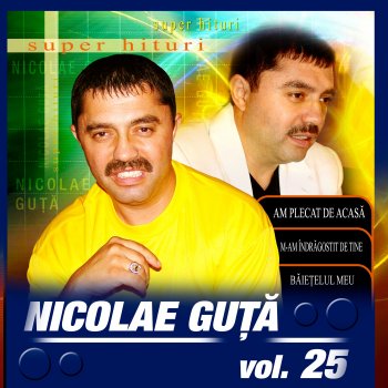 Nicolae Guta Am Plecat De Acasa