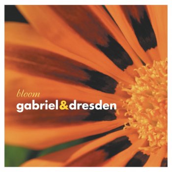 Gabriel & Dresden Serendipity