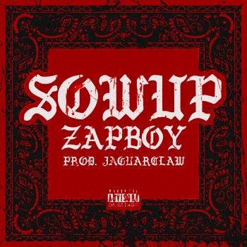 Zapboy Sowup