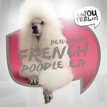Beauriche French Poodle