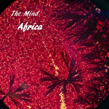 The Mind Africa