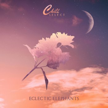Eclectic Elephants feat. Chill Select It'll Be Cold