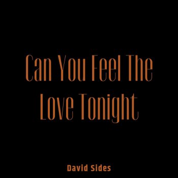 David Sides Can You Feel the Love Tonight