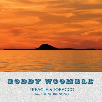 Roddy Woomble The Slurf Song
