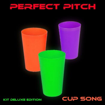 Perfect Pitch Cup Song - Instrumental Vintage 130 Bpm