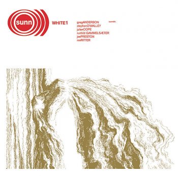 sunn 0))) A Shaving of the Horn That Speared You