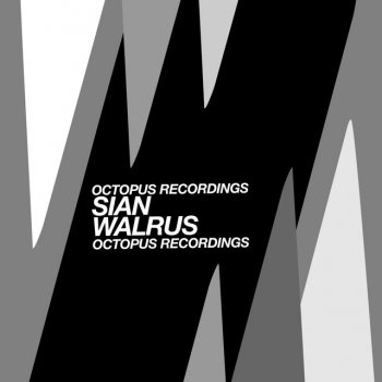 Sian Walrus - Original Mix