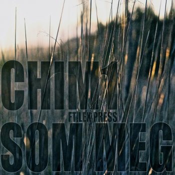 Chim Som Meg (feat. Lex Press)
