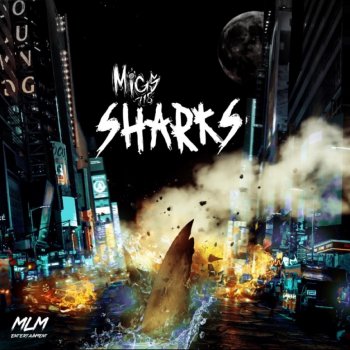 Migs718 Sharks