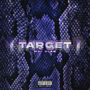 Roi 6/12 Target