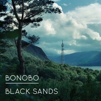 Bonobo We Could Forever