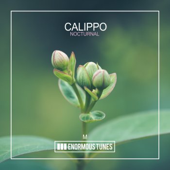 Calippo Nocturnal (Extended Mix)