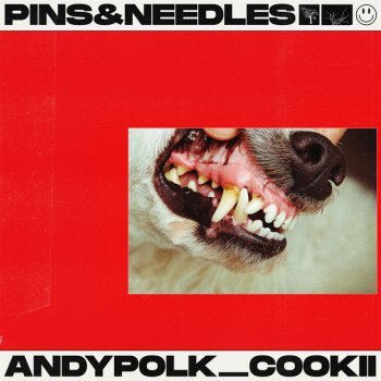 andy polk feat. cookii pins&needles