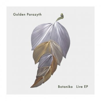 Golden Parazyth Winter Man (Live)