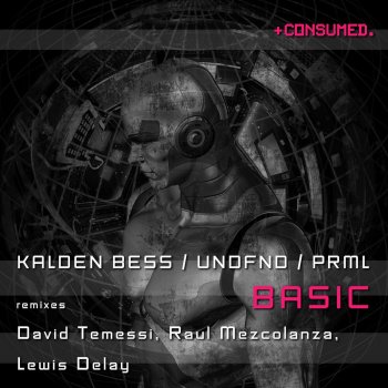 UNDFND feat. Kalden Bess & PRML Basic (Lewis Delay Remix)