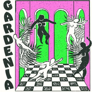 Gardenia Acorn