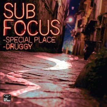 Sub Focus Special Place