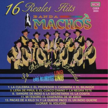 Banda Machos El Cuaco Chaño