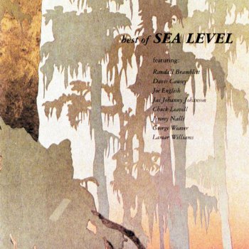 Sea Level Nothing Matters but the Fever