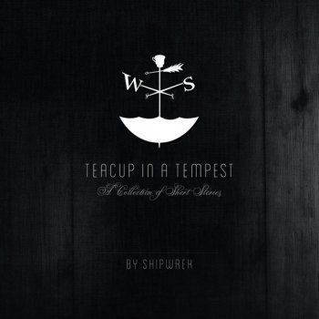 Shipwrek Teacup in a Tempest