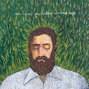 Iron & Wine On Your Wings