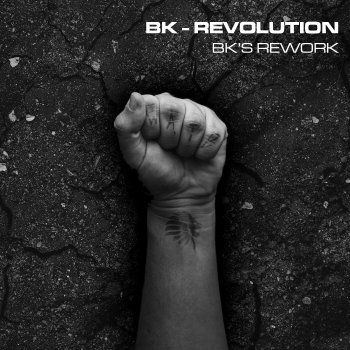 Bk Revolution - Bk's Rework
