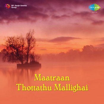 Sankar Ganesh Maatraan Thottathu Mallighai Theme, Pt. 1 - Instrumental