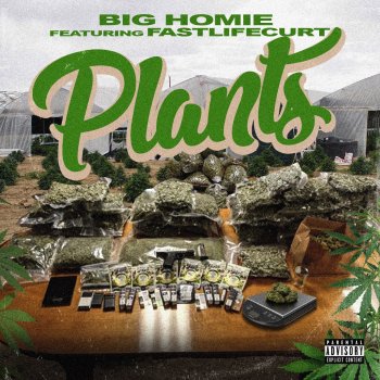 Big Homie Plants