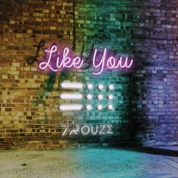 Trouze Like You (Extended Mix)