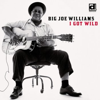 Big Joe Williams Coffeehouse Blues