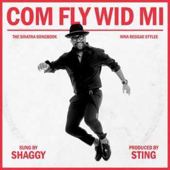 Shaggy Come Fly with Me