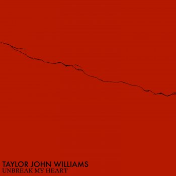 Taylor John Williams Unbreak My Heart