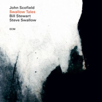 John Scofield feat. Steve Swallow & Bill Stewart Falling Grace