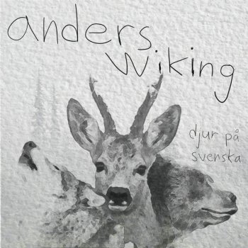 Anders Wiking Räven