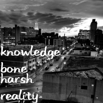 Knowledge Bone Harsh Reality
