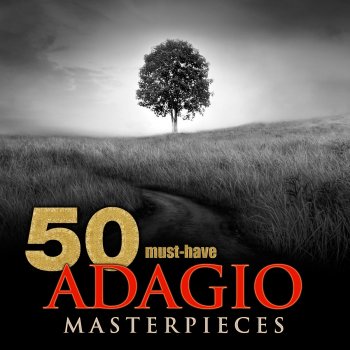 Budapest Strings feat. Béla Bánfalvi Sinfonia for Strings and Continuo, B Minor, "Al Sancto Sepolcro": I. Adagio Molto