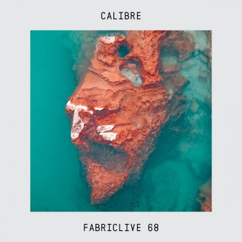 Calibre Fabriclive 68: Calibre (Continuous DJ Mix)