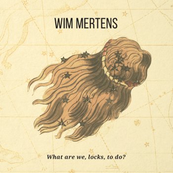 Wim Mertens Many tens of thousands of things