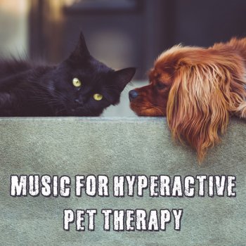 Pet Music Academy Music to Massage Cat