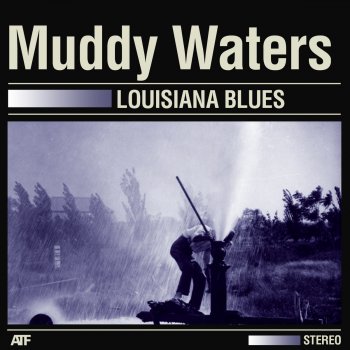 Muddy Waters Country Blues